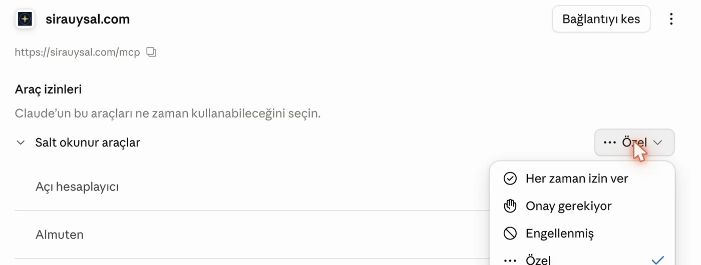 Tool permissions in Turkish: the menu on the read-only tools row with Her zaman izin ver (always allow), Onay gerekiyor (approval needed), Engellenmiş (blocked) and Özel (custom)